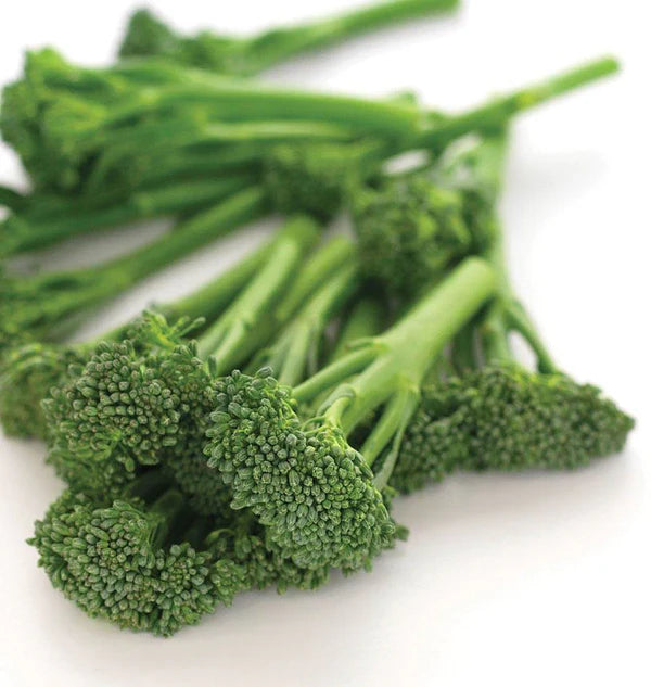 Baby Broccoli Seeds for Planting – Broccolini Aspabroc Hybrid, Heirloom Non-GMO Seeds for Organic Home Gardens