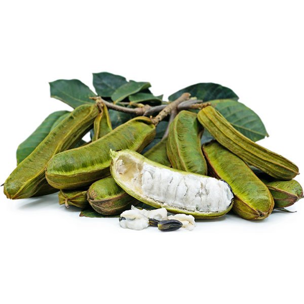 Ice Cream Bean Seeds for Planting – Inga Edulis, Tropical Fruit Tree Seeds, Heirloom, Non-GMO