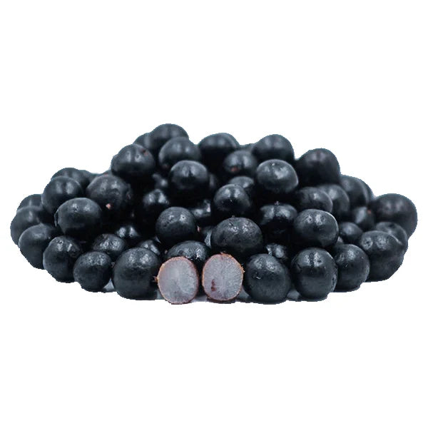 Acai Fruit Seeds for Growing Nutrient-Rich Berries – Heirloom Non-GMO High Germination Organic Garden Seeds