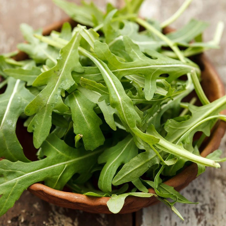 Arugula Rocket Seeds for Planting – Fast-Growing Heirloom Leafy Greens