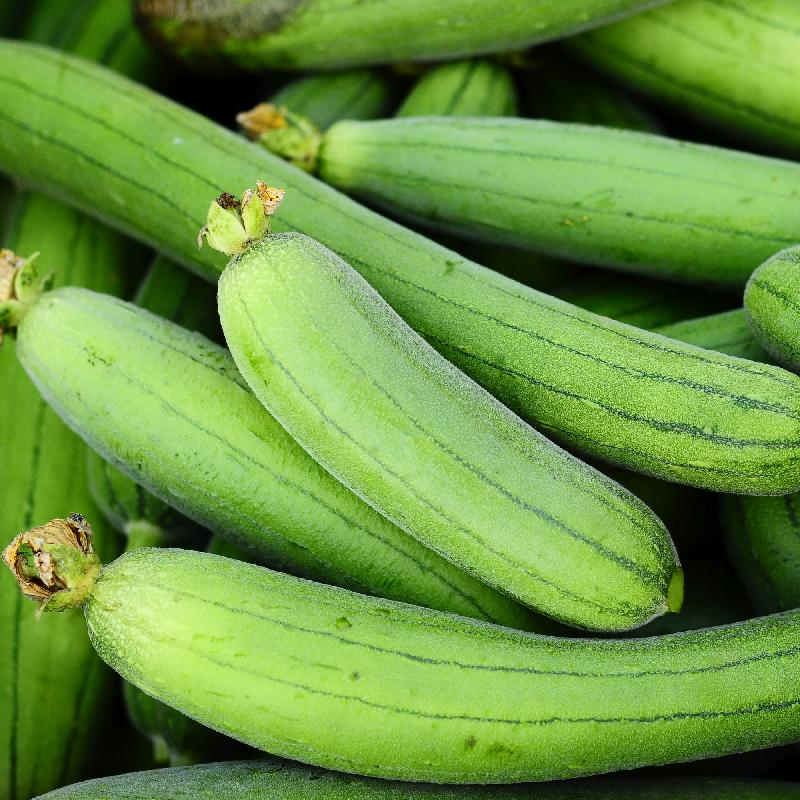 Sponge Gourd Seeds for Planting – High Yield, Fast-Germinating Vegetable Seeds