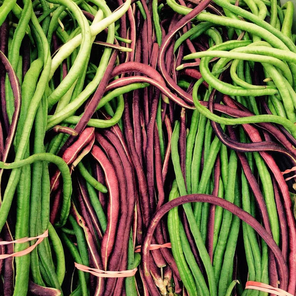Yard Bean Seeds for Planting – Heirloom, Non-GMO, Organic Garden Seeds, High Germination, Long Pod Variety
