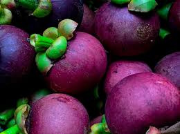 Mangosteen Purple Fruit Seeds – Tropical Non-GMO Heirloom Seeds for Garden Planting