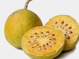 Aegle Marmelos Fruit Seeds for Planting | Heirloom Non-GMO Organic Seeds for Unique, Aromatic Garden Fruits