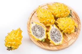 Yellow Tropical Dragon Fruit Seeds – Vibrant & Nutritious, Heirloom & Non-GMO Seeds for Home Garden Planting