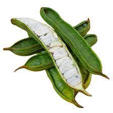 Ice Cream Bean Seeds for Planting – Inga Edulis, Tropical Fruit Tree Seeds, Heirloom, Non-GMO