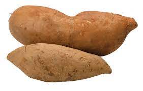 Bogachiel Yacon Seeds for Planting – Heirloom Non-GMO, High Germination Organic Vegetable Garden Seeds