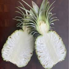 White Flesh Pineapple Seeds – Heirloom Non-GMO – Neeraseeds