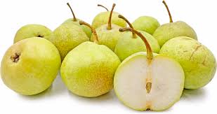 Duchess Pear Fruit Seeds for Planting – Heirloom, Non-GMO, High Germination Organic Garden Seeds for Crisp, Juicy Pear Trees