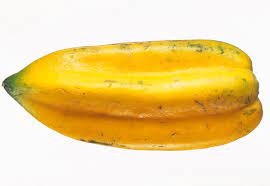 Babaco Papaya (Vasconcellea × heilbornii) Fruit Tree Seeds for Planting – Heirloom Non-GMO Organic Garden Seeds