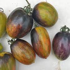 Atomic Grape Tomato Vegetable Seeds for Planting – Heirloom Non-GMO Organic Garden Seeds, High Germination