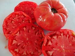 Box Car Willie Heirloom Tomato Seeds for Planting – Non-GMO, High Germination Organic Garden Seeds