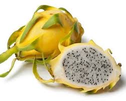 Yellow Tropical Dragon Fruit Seeds – Vibrant & Nutritious, Heirloom & Non-GMO Seeds for Home Garden Planting