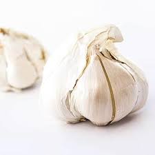 Elephant Garlic Seeds for Planting, White – Heirloom, Non-GMO, High Germination Organic Garden Seeds