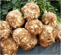 Brown Celeriac Seeds for Planting – Heirloom, Non-GMO, High Germination Organic Garden Seeds