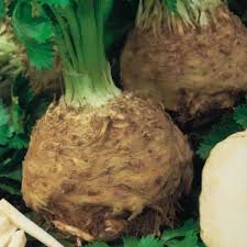 Brown Celeriac Seeds for Planting – Heirloom, Non-GMO, High Germination Organic Garden Seeds