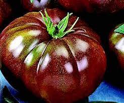 Brown Giant Tomato Seeds for Planting – Heirloom, Non-GMO, High Germination Garden Seeds