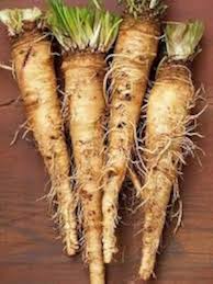 Horseradish Seeds for Gardening – 100 pcs Heirloom, Non-GMO, High Germination Organic Garden Seeds