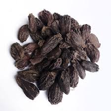Black Cardamom Plant Seeds – Heirloom, Non-GMO, High Germination Organic Garden Seeds for Indoor & Outdoor Herb Garden Planting