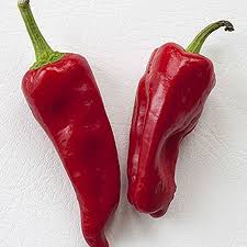 Aleppo Pepper Seeds – Heirloom Non-GMO Vegetable Seeds for Flavorful, Mildly Spicy Harvests, High Germination