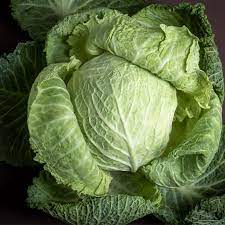 Cabbage TEMP Round Hybrid Seeds – High-Yield Vegetable Seeds for Planting, Non-GMO, Suitable for Home Garden & Farming