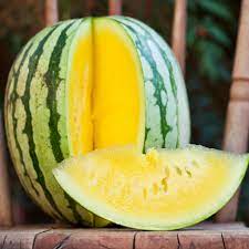 Golden Honey Watermelon Fruit Seeds for Planting – Refreshing, Sweet Watermelons, Heirloom & Non-GMO, High Germination