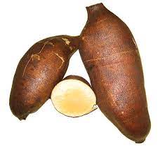 Cajamarca Yacon Vegetable Seeds for Planting – Heirloom, Non-GMO, Organic Garden Seeds, High Germination Root Crop