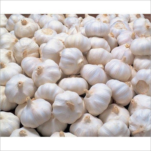 White Rocambole Garlic Seeds for Planting – Heirloom, Non-GMO, Organic Garden Seeds, High Germination