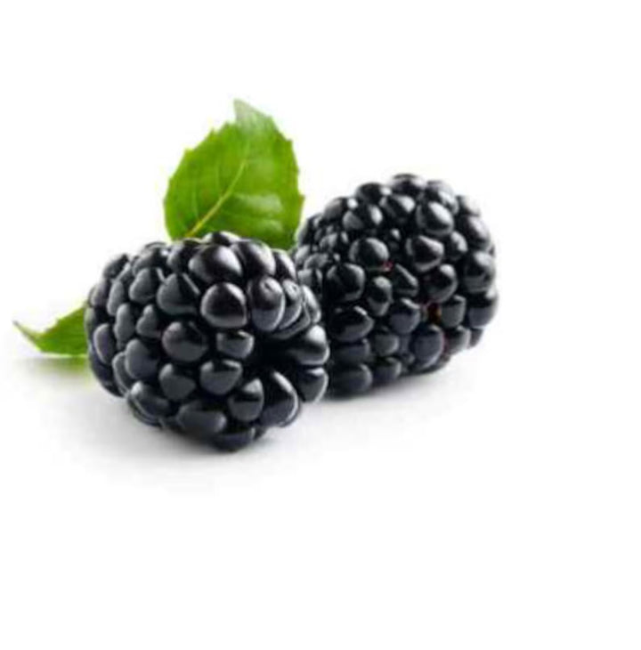 Blackberry Arapaho Seeds – Thornless, Heirloom, Non-GMO, High-Yield for Garden Planting