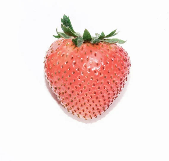 strawberry heirloom seeds RosyPink Strawberry Fruit Seeds for Planting – Sweet, Delicious Strawberries, Heirloom & Non-GMO Seeds for Home Garden