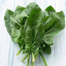 Bloomsdale Long Standing Spinach Seeds for Planting – Heirloom, Non-GMO, High Germination Organic Vegetable Seeds