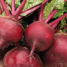 Beetroot TRP Hybrid Seeds – Red Beet Variety for Planting, Uniform Roots, Heat Tolerant, High-Yield Garden Seeds