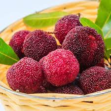 Rubra Fruit Seeds for Planting – Rare Tropical Fruits, 100 pcs, Heirloom & Non-GMO, High Germination