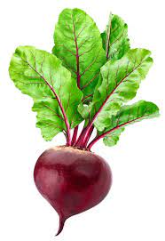 Beetroot TRP Hybrid Seeds – Red Beet Variety for Planting, Uniform Roots, Heat Tolerant, High-Yield Garden Seeds