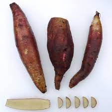 Cajamarca Yacon Vegetable Seeds for Planting – Heirloom, Non-GMO, Organic Garden Seeds, High Germination Root Crop