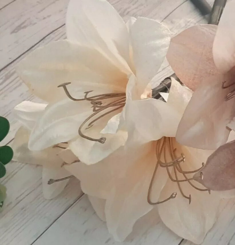 Ash Amaryllis Flower Seeds – Heirloom Non-GMO High Germination Organic Garden Seeds for Planting