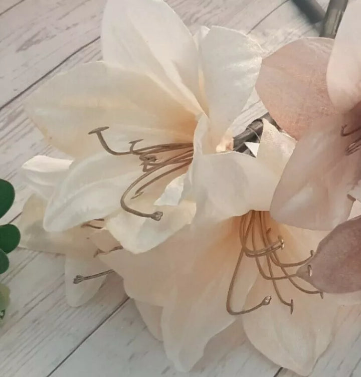Ash Amaryllis Flower Seeds – Heirloom Non-GMO High Germination Organic Garden Seeds for Planting