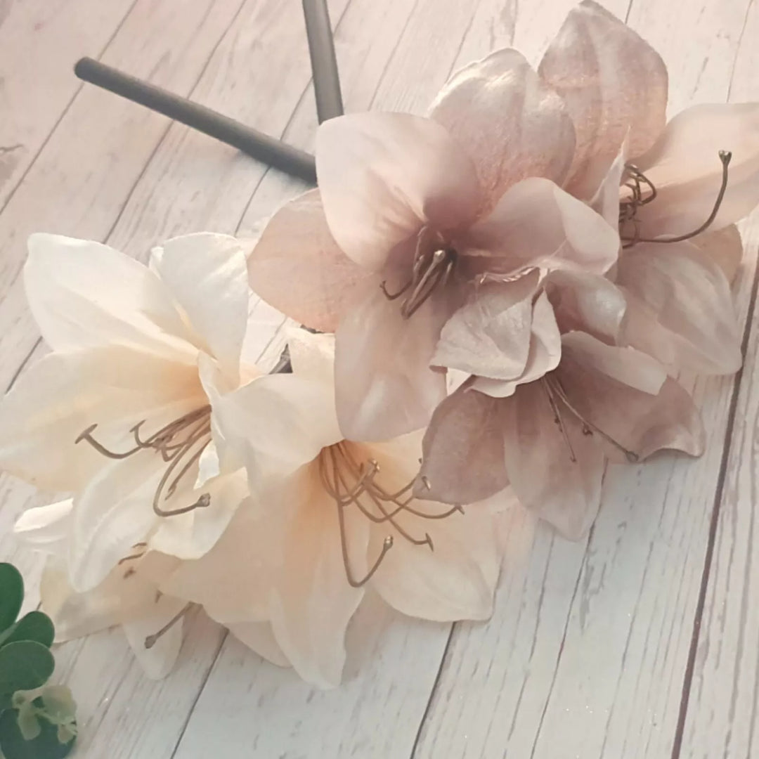 Ash Amaryllis Flower Seeds – Heirloom Non-GMO High Germination Organic Garden Seeds for Planting