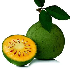 Yellow Aegle Marmelos Fruit Seeds – Heirloom & Non-GMO Seeds for Aromatic Bael Fruits in Your Home Orchard