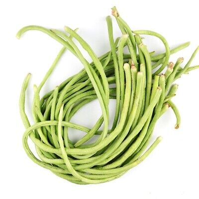 Asian Yard Long Bean Seeds for Planting - Heirloom, Non-GMO, Fresh Organic Garden Seeds, High Germination
