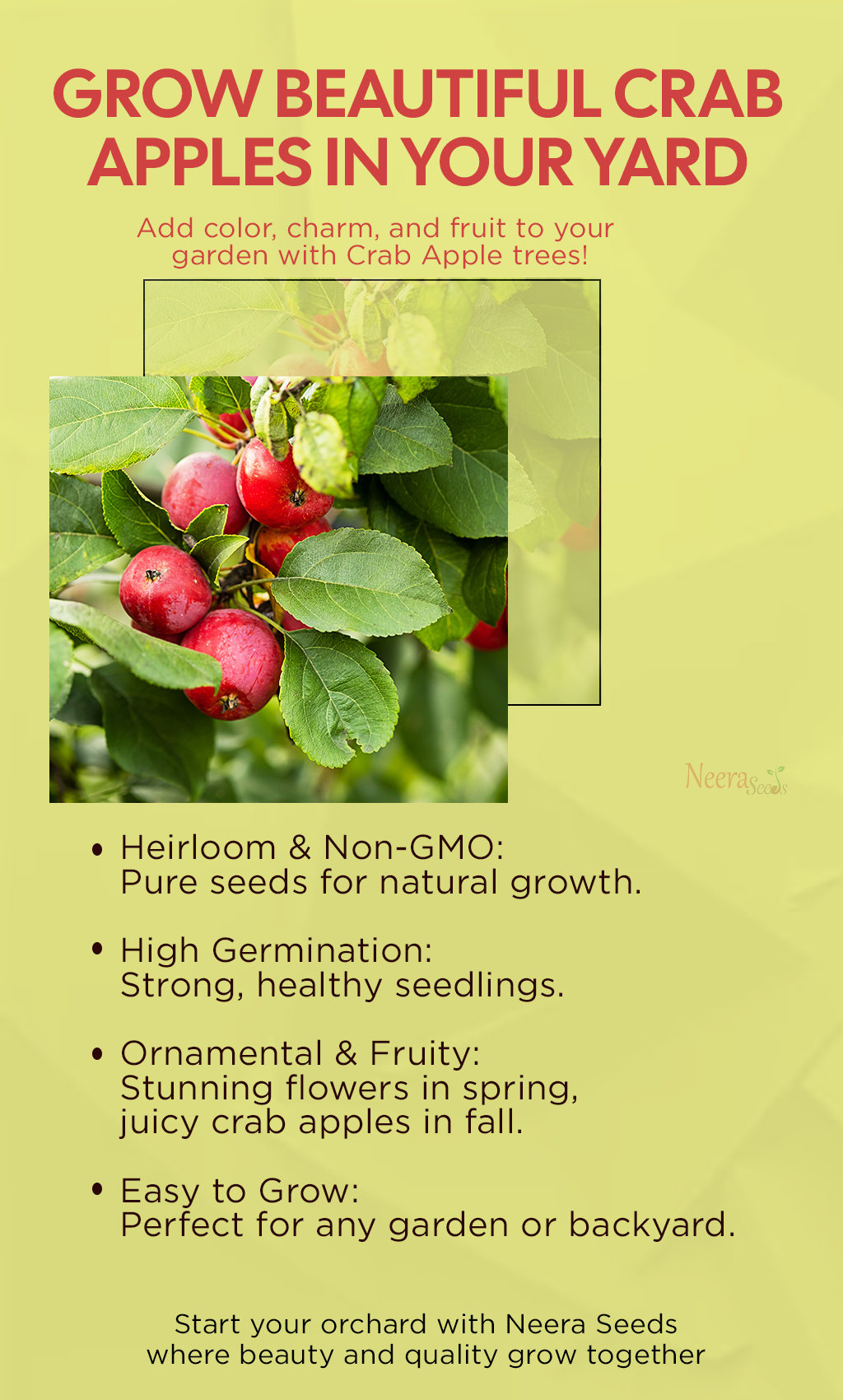 Grow Beautiful Crab Apples from Heirloom & Non-GMO Seeds
