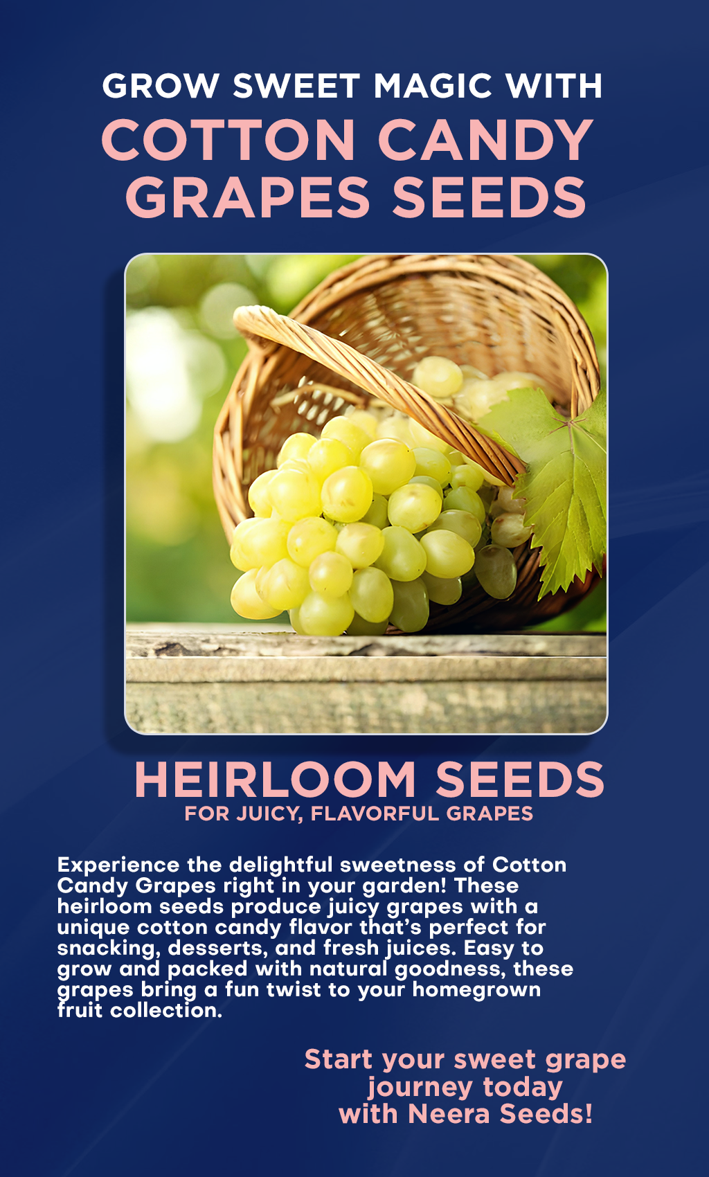 Delight Your Garden with Sweet Cotton Candy Grapes – Heirloom Seeds