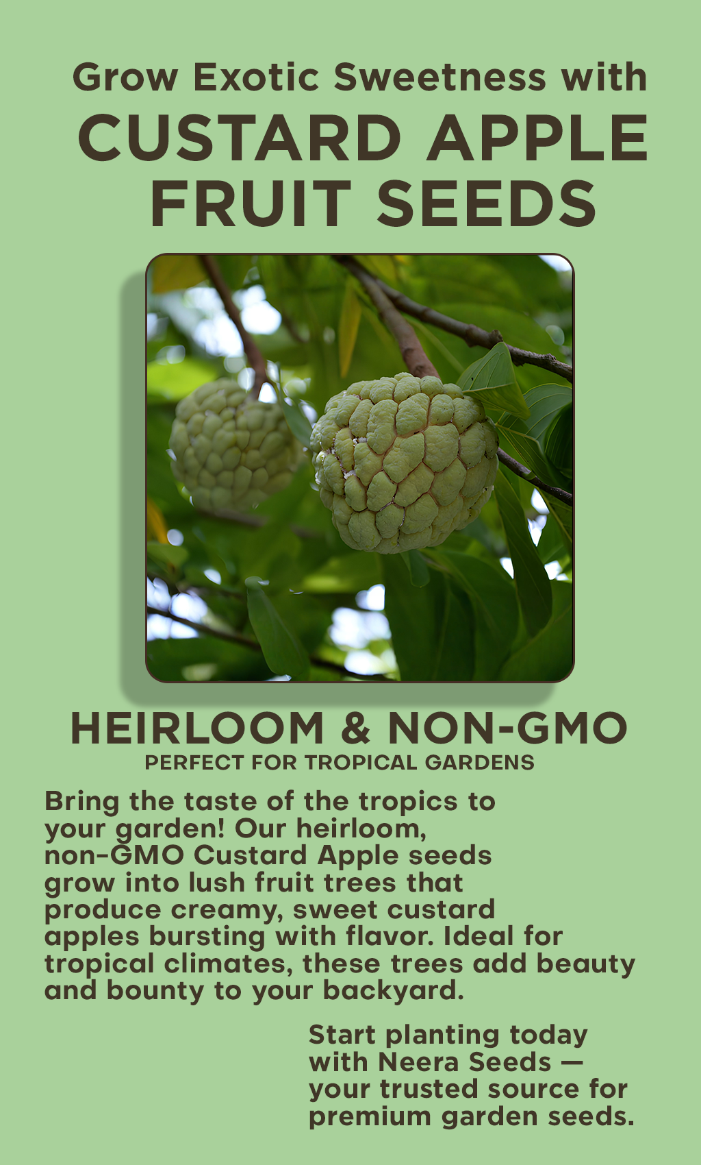 Grow Your Own Sweet & Exotic Flavor with Green Custard Apple Seeds