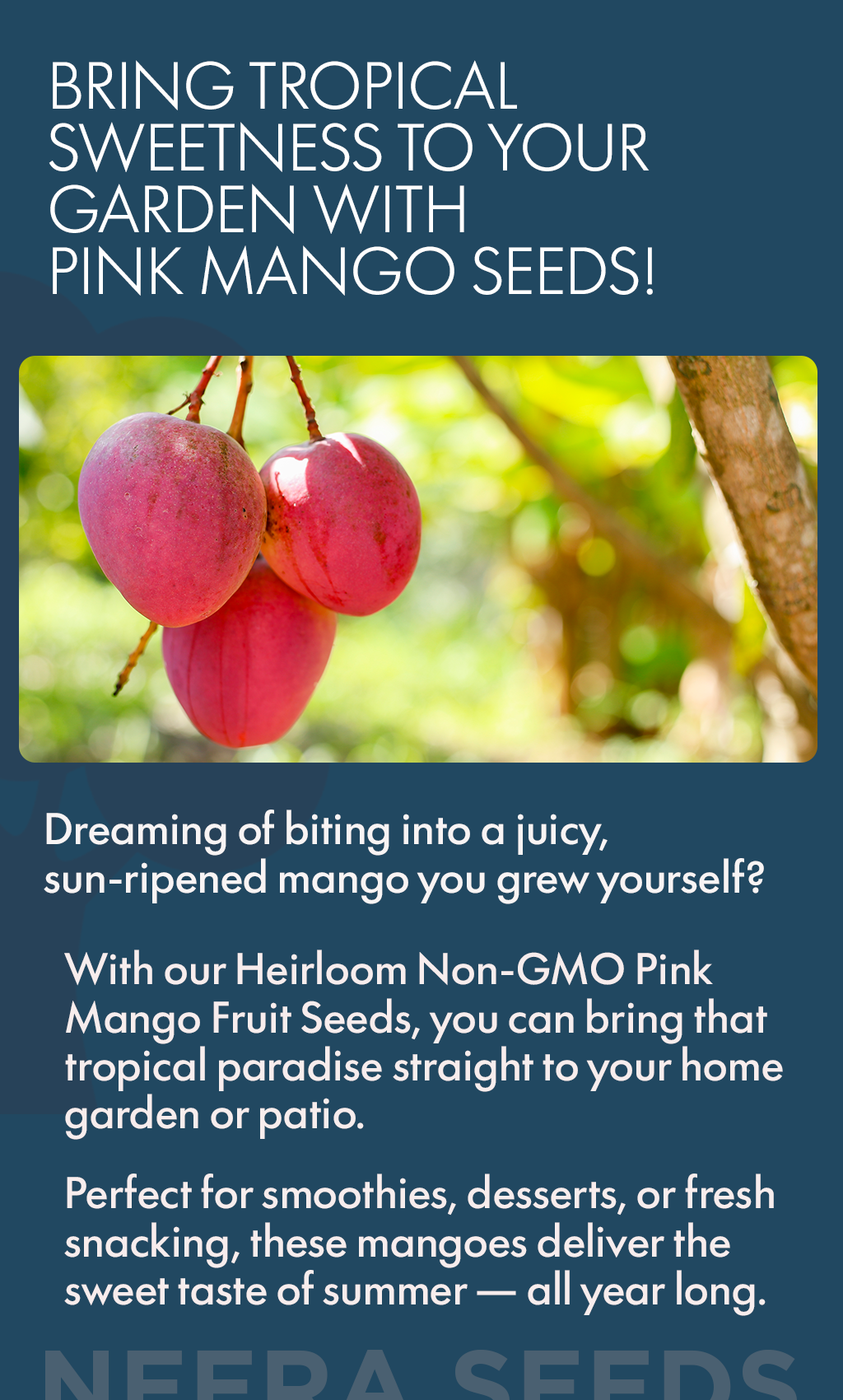 Bring Tropical Sweetness to Your Garden with Pink Mango Seeds