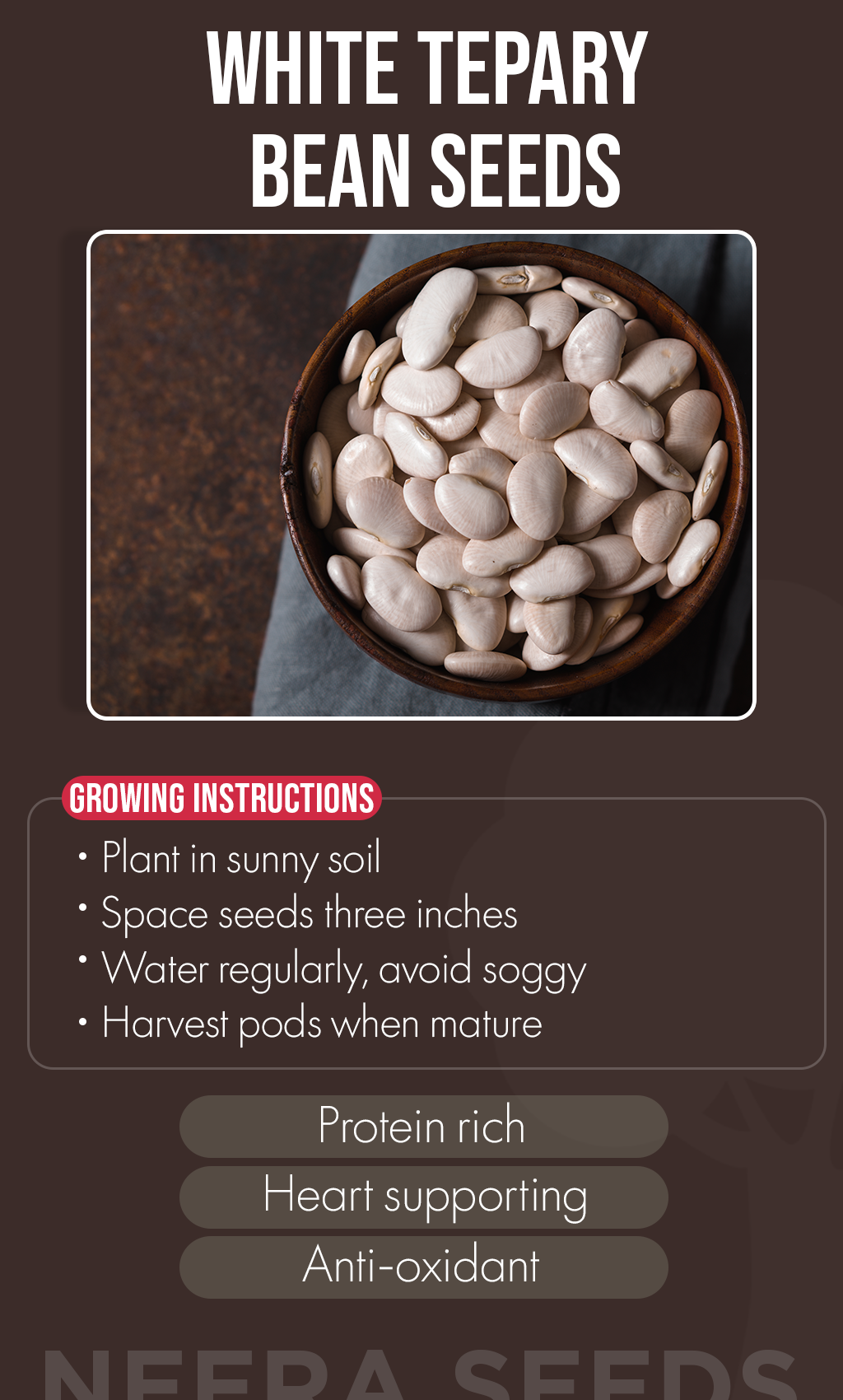 Grow Resilience This Winter: White Tepary Bean Seeds for a Sustainable Home Garden