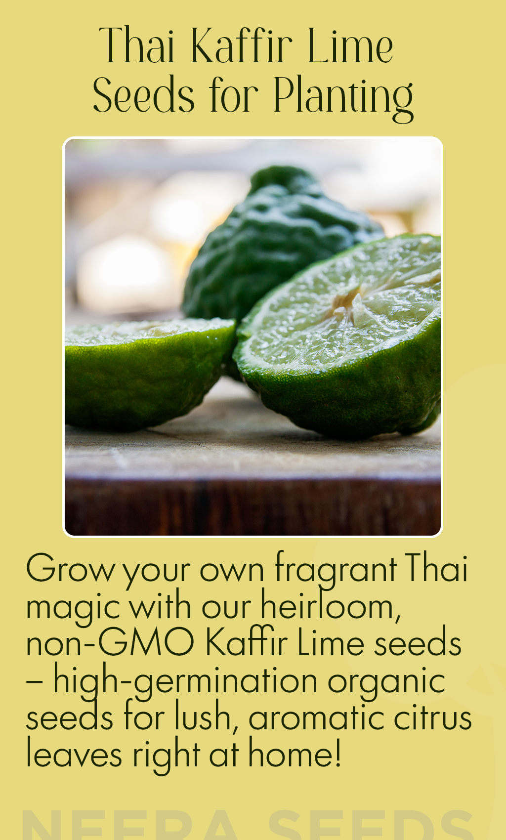 Bring Exotic Aromas Home: Grow Thai Kaffir Lime from Heirloom Non-GMO Seeds