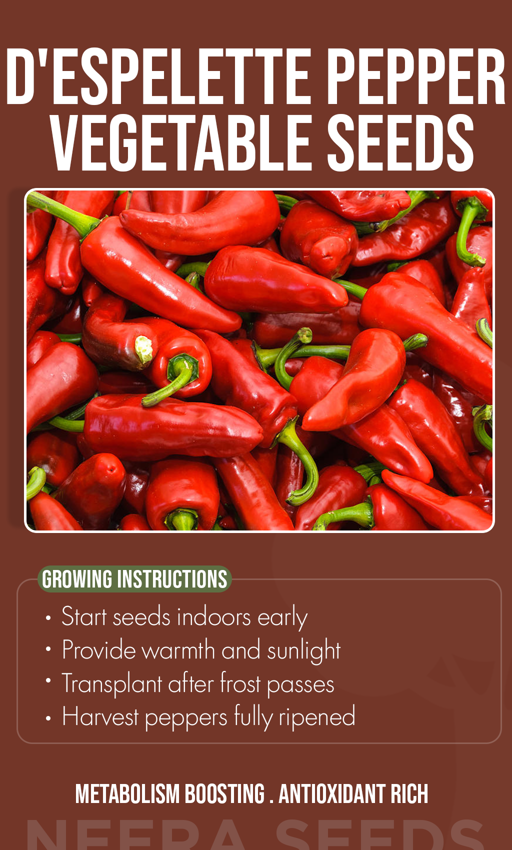 “From Winter Dreams to Gourmet Harvests: Grow Authentic D'Espelette Peppers in Your Home Garden”