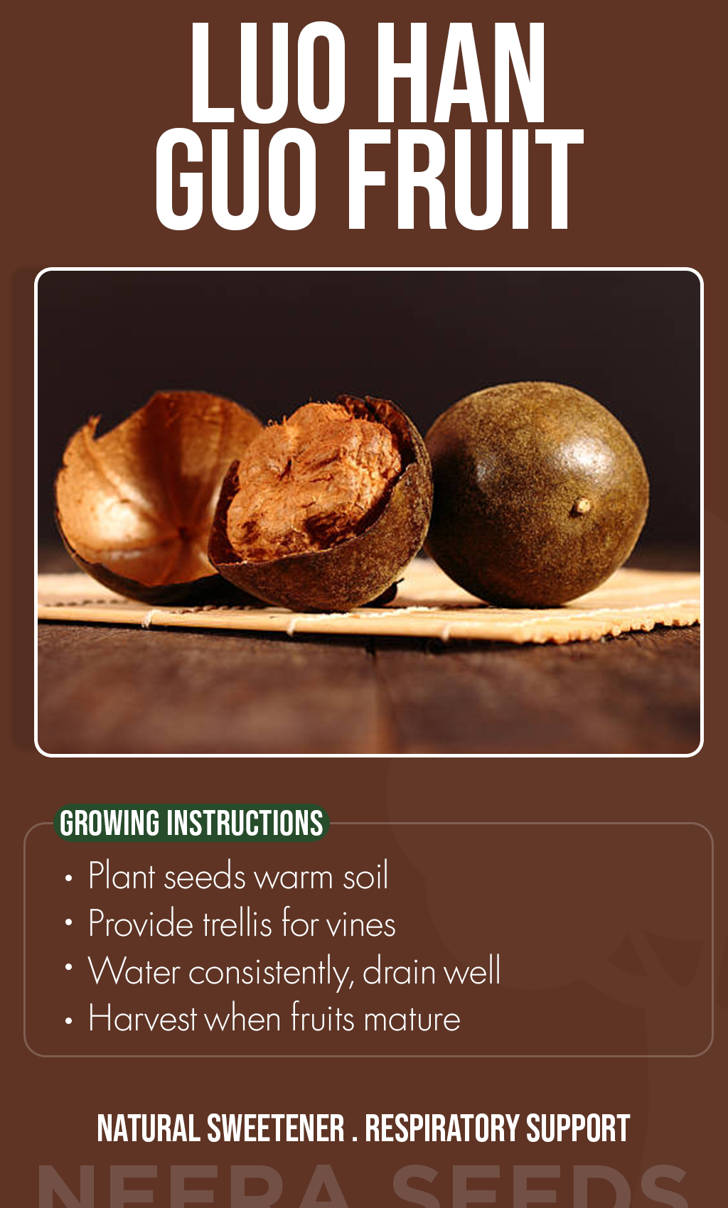 Luo Han Guo Fruit Seeds for Planting | Heirloom Non-GMO Monk Fruit ...