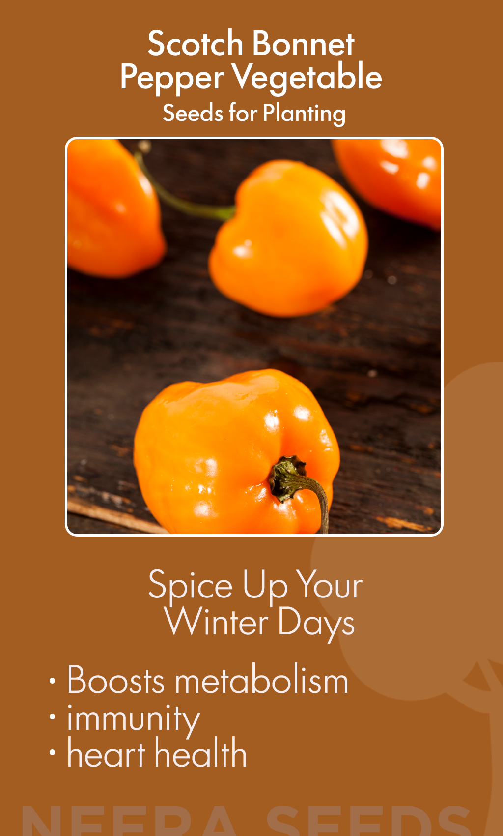 When Winter Craves Warmth: Growing Scotch Bonnet Peppers That Heat the Garden and the Soul