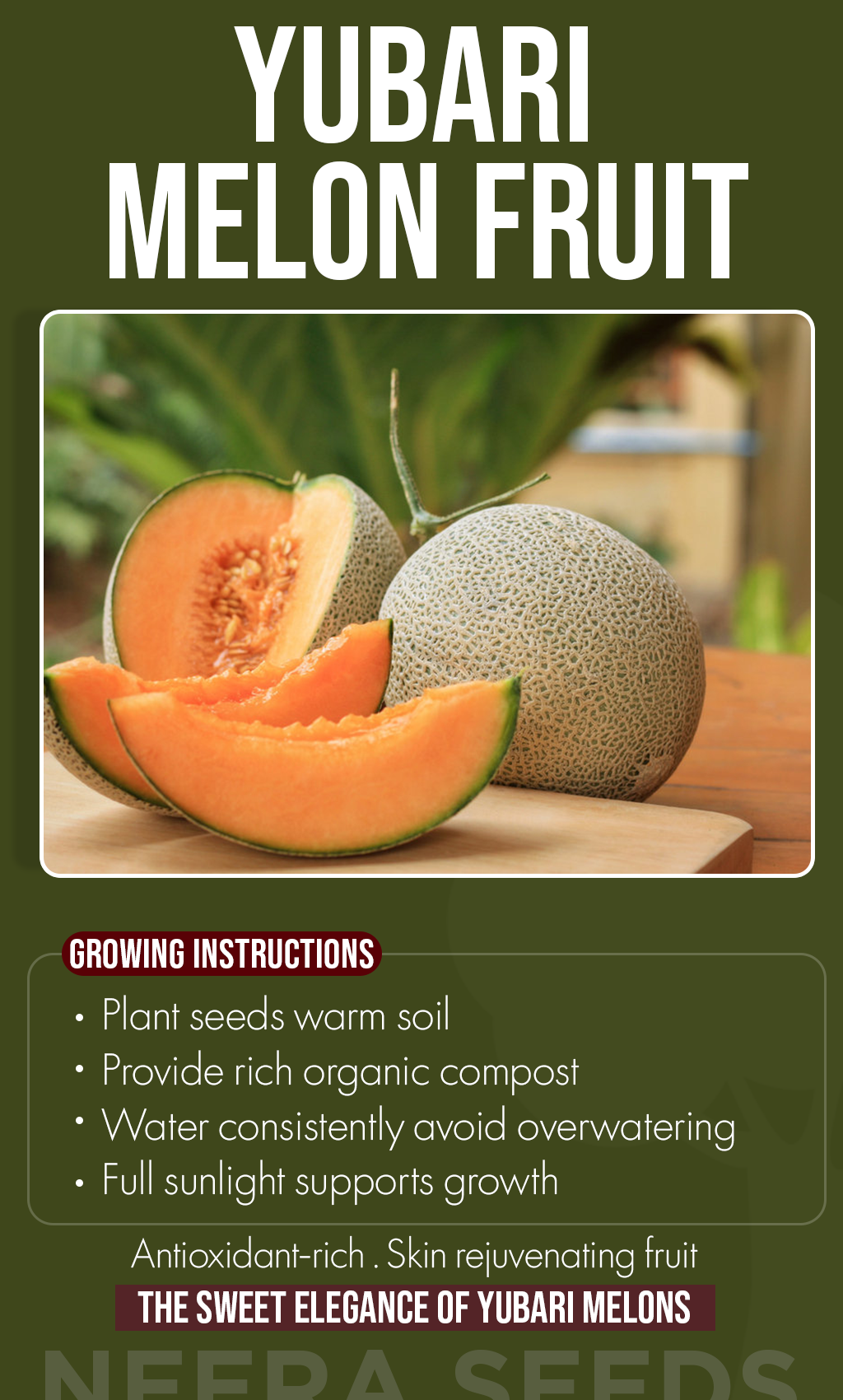 Grow the World’s Most Luxurious Melon at Home: Plant Rare Yubari Melon Seeds This Winter